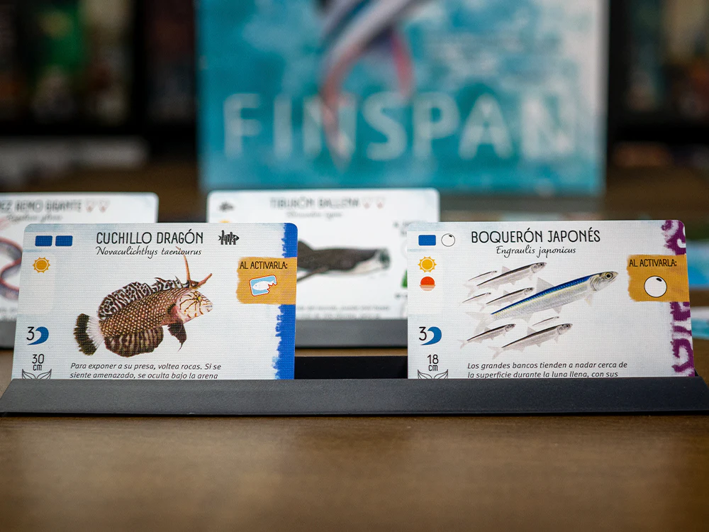 Finspan (Español) (Outlet 2) - Image 3